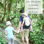 Tips and tricks of hiking the El Yunque Rainforest National Park with children.