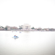 Washington DC Cherry Blossoms-2