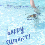 Happy-Summer-1