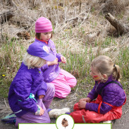 Forest School Forest Kindergarten Outside Education