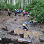 Forest school outdoor learning