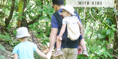 8 Tips for Hiking with Kids in El Yunque Rainforest